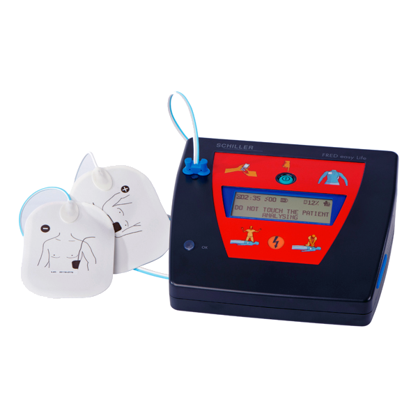 schiller fred easy life